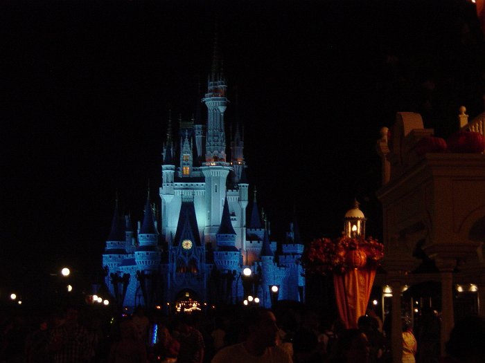 Disney 2010 247